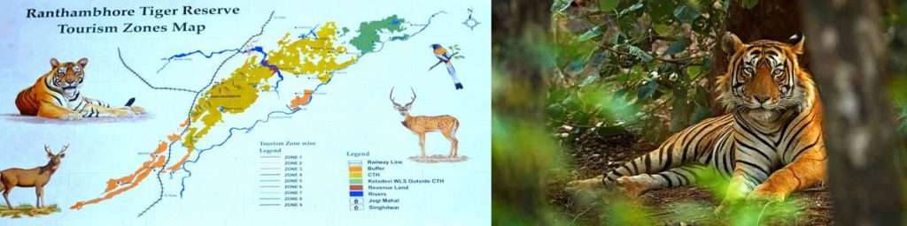 Fact And Figures In Ranthambore National Park Sawai Madhopur