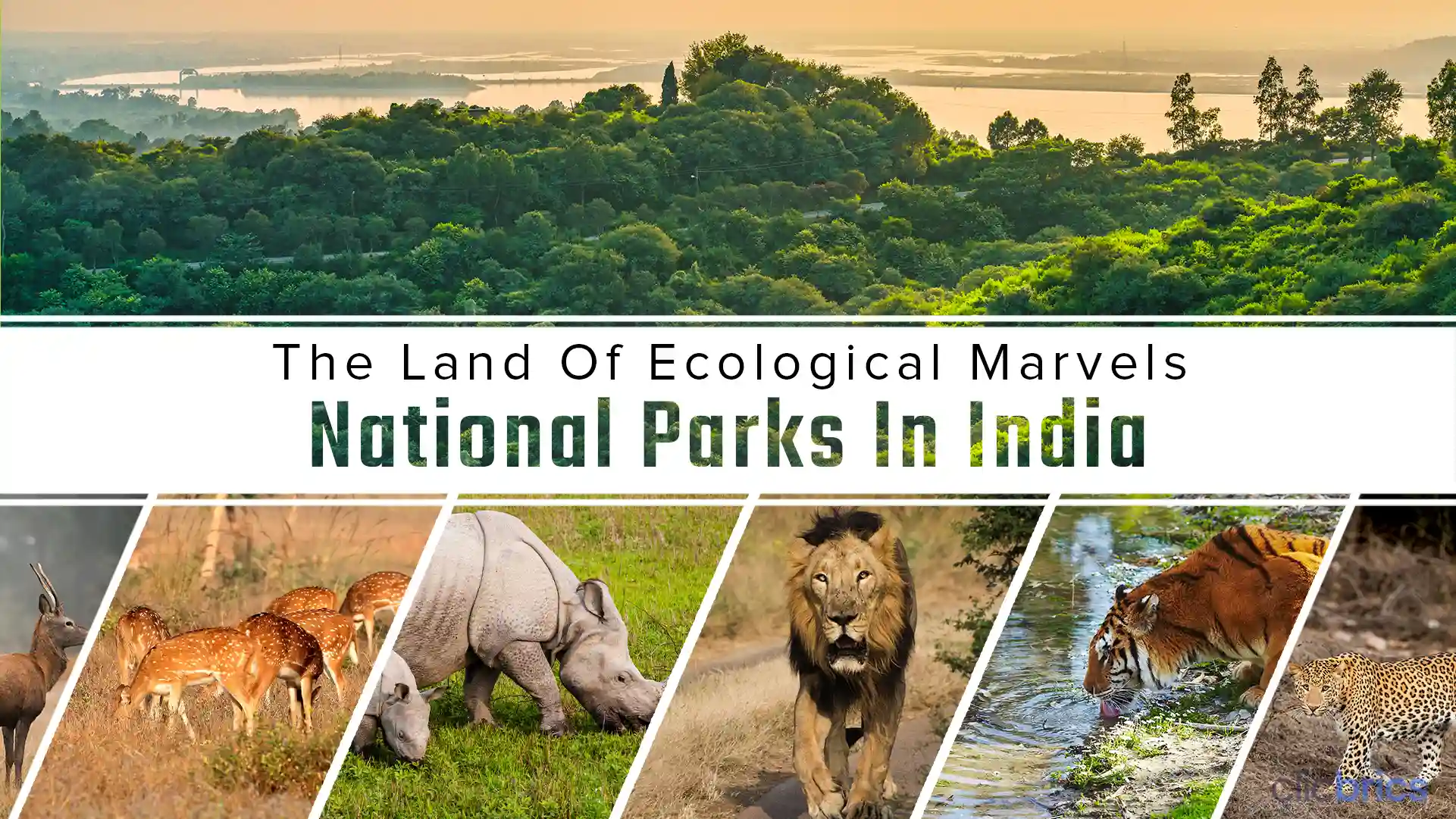 India's National Parks
