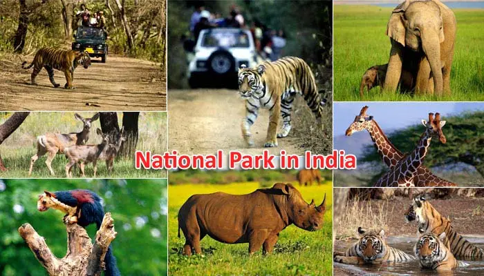 India's National Parks
