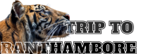 Trip to Ranthambore logo