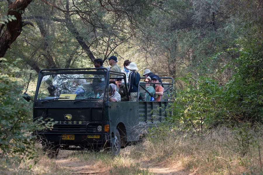 Ranthambore Safari ticket