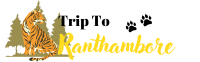 Trip to Ranthambore logo