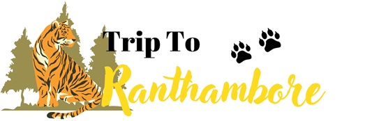 Trip to Ranthambore logo