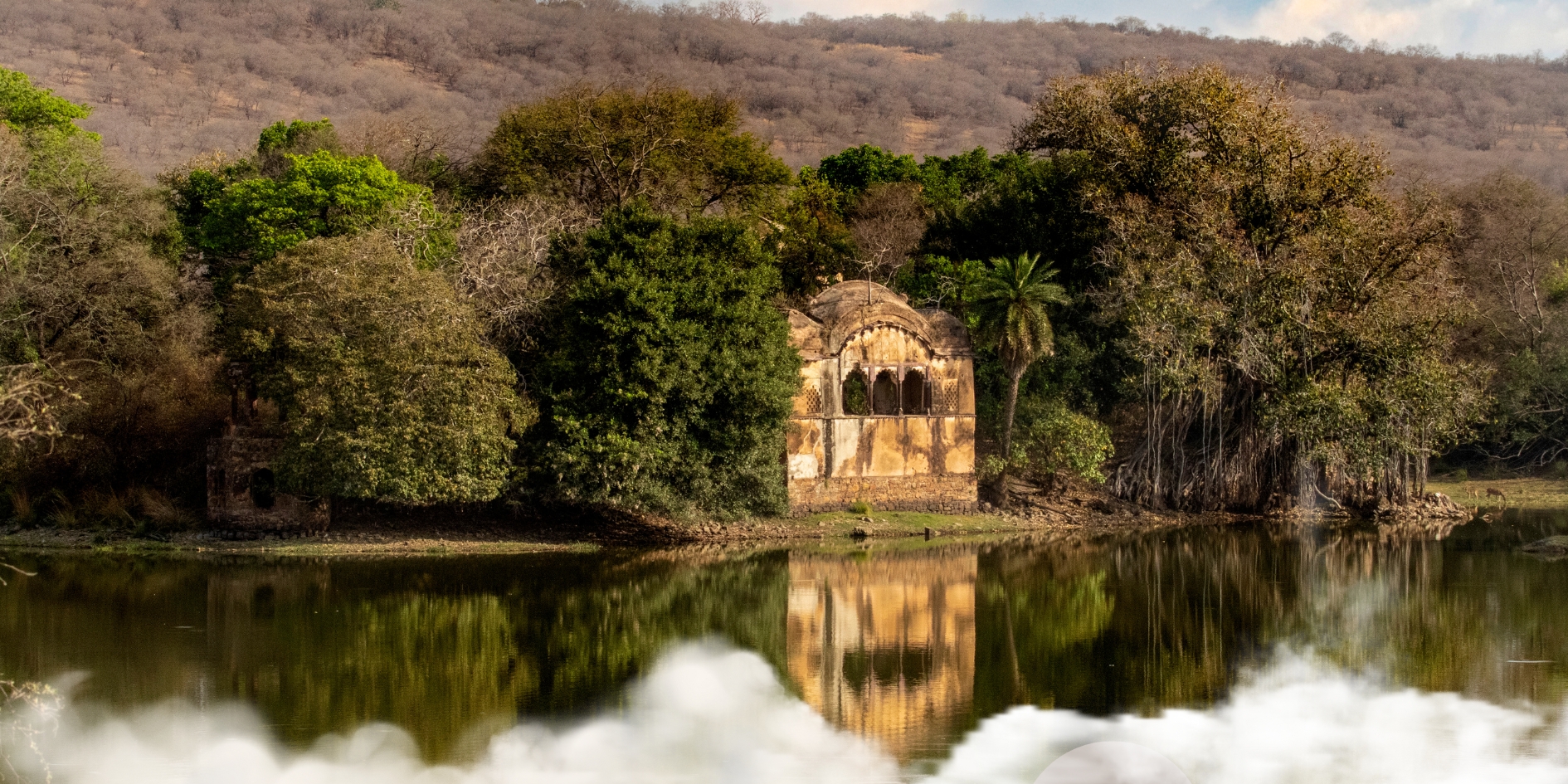 Ranthambore Fort Rajasthan