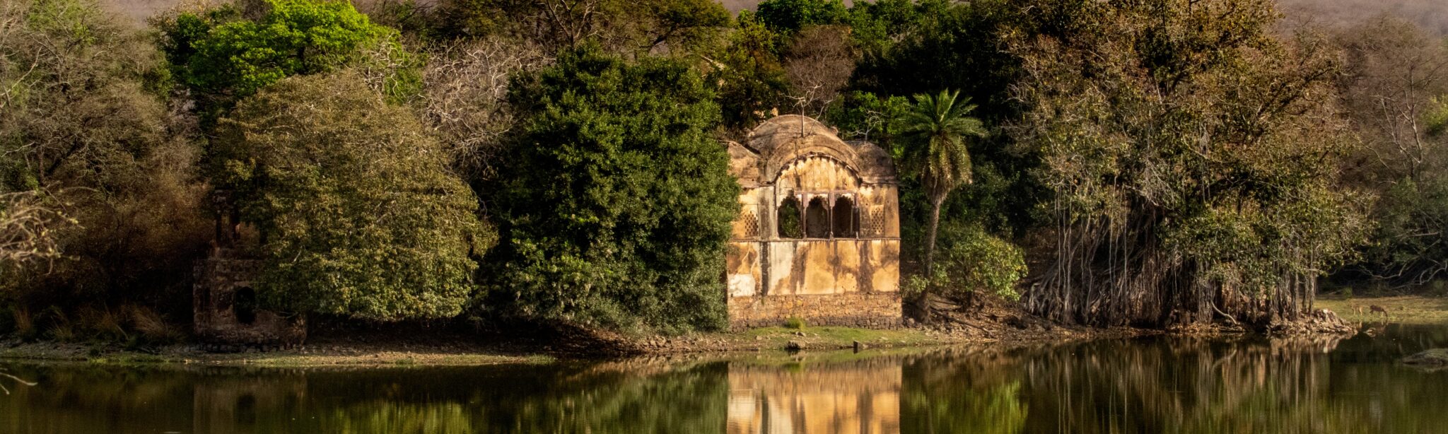 attractions in ranthambore