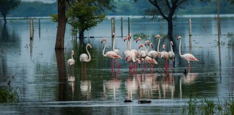 bharatpur rajasthan